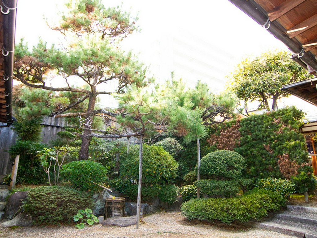 お部屋から緑の中庭を眺めながら食事を楽しんで