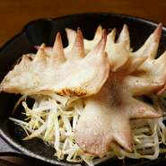 軟骨のようなコリコリとした食感が心地いいひと品。コラーゲンもたっぷりで、女性におすすめ。「他ではあまり出会えない」と、こちらを目指して訪れる客もいるのだとか。