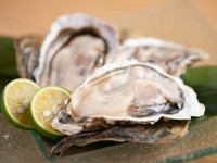 全国各地から仕入れ、季節ごとに旬の味を提供している『本日の生牡蠣』