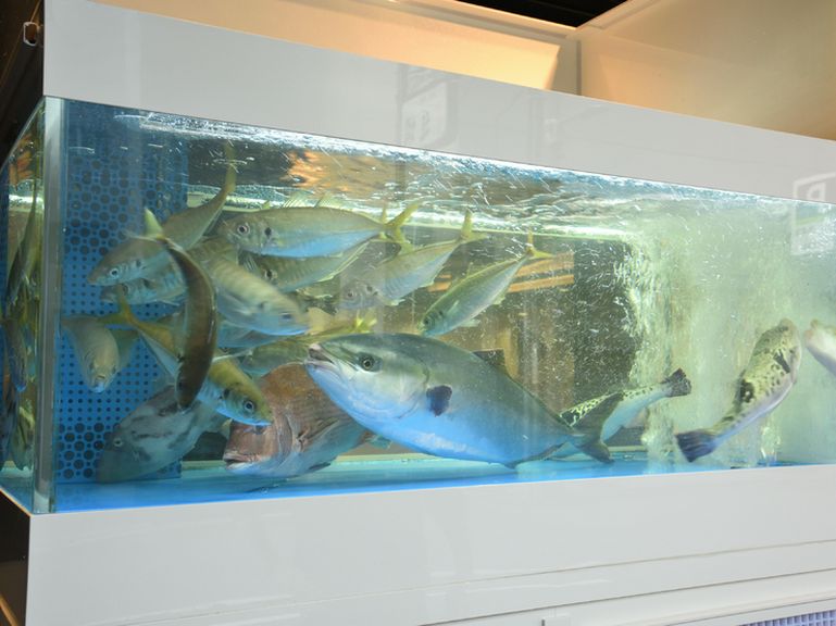 生簀の魚を眺めていたら、自然と2人の会話も盛り上がる