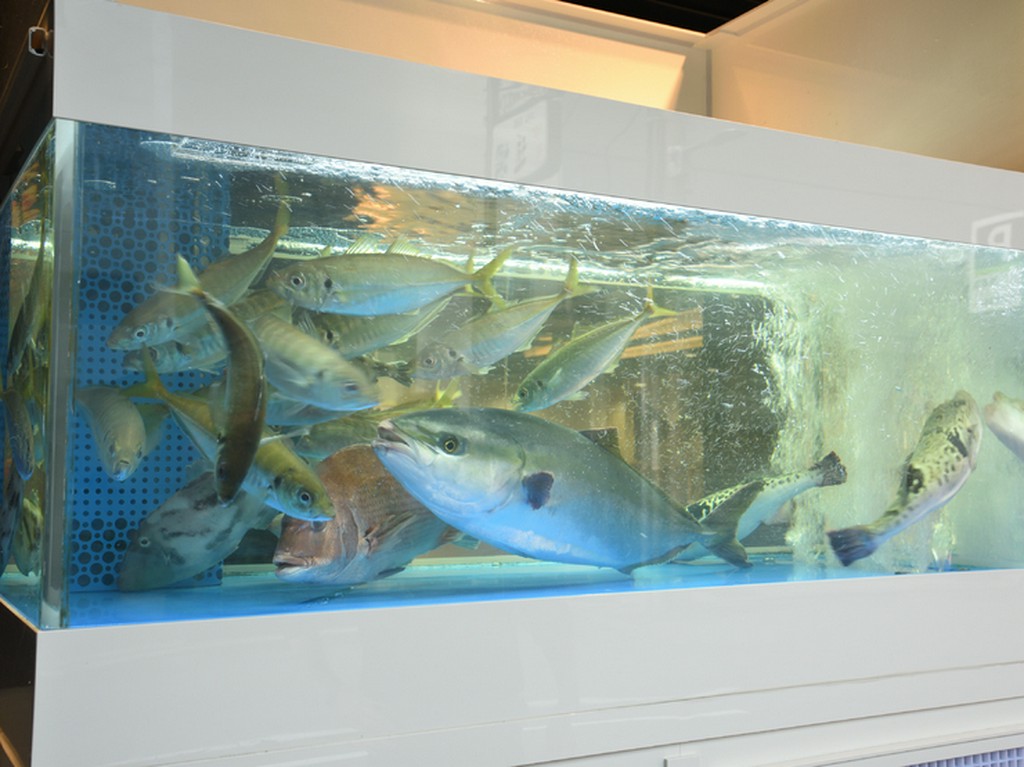 生簀の魚を眺めていたら、自然と2人の会話も盛り上がる