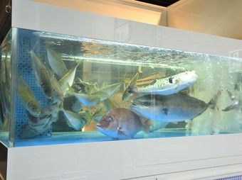 料理が届くまでの間は、目で見て楽しむことができるのも魅力