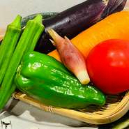 四季によって旬が味わえる和食ならではの楽しみ方をご提供しております
店内のおすすめからお好みの調理でご堪能ください