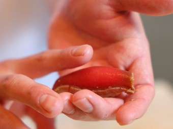 歴史に磨かれた江戸前の技法を大切に守った丁寧な仕事