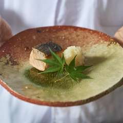 毎月変わる旬の食材を使用したオマカセコース
