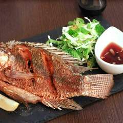 ピリトン　ティラピア