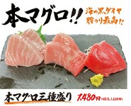 本マグロ3種盛り