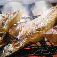 黒潮と親潮が混ざりあう南三陸の金華山周辺で獲れる真さば。回遊をせずに豊富なエサをたっぷり食べられるので上質な脂が身に入り、その中でもさらに厳選された一部のさばのみが「金華さば」と称されます。