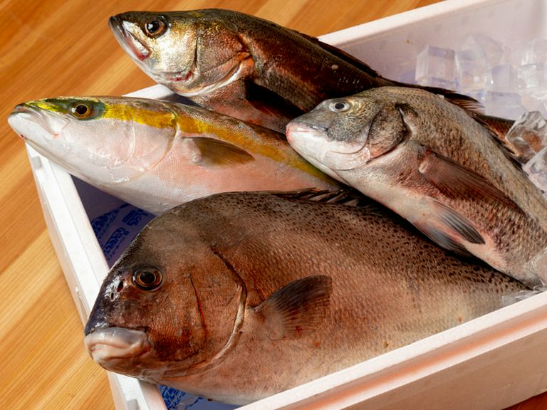 西日本を中心とした各地の漁港から直送される新鮮魚介が魅力！