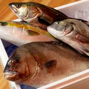 西日本を中心とした各地の漁港から直送される新鮮魚介が魅力！