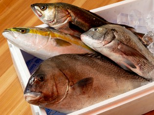 漁港直送で届くから新鮮さが違う！「産地直送鮮魚」