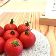 ・野菜は全国の農家から有機野菜を中心に。
・鮮魚は全国の漁港より産直。
・香辛料は世界各国から届くオーガニックスパイス。
・日本酒は季節の原酒や地酒
・ワインは酸化防止剤無添加のヴァン・ナチュール。