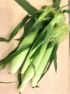 食材のプロが生産者から直接仕入れる、想いが込められた素材