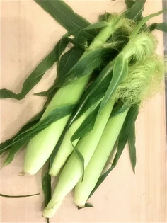 食材のプロが生産者から直接仕入れる、想いが込められた素材