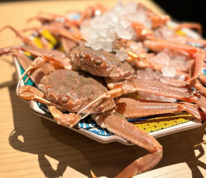 全国各地より、旬の食材・日本酒をご用意しております。