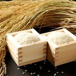 「土鍋白米」は看板料理のひとつ。米の一粒一粒がピンと立ち、つやつやとした純白の輝き。適度なねばりともっちり食感、甘みと香りの詰まった白いご飯は、立ち上る湯気までもがごちそう。五感で味わってくださいませ