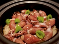 この時期に旬を迎える蛍烏賊、春を彩る蛤、桜海老など厳選された食材を味わえる特別コース