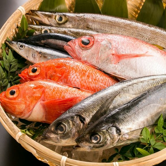 市場から直送された新鮮な海の幸!『本日のお造り』