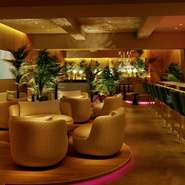 海外のセレブが愛用している世界一ラグジュアリーで映えるシーシャを楽しめるシーシャカフェ＆バー。

当店では200種類以上のフレーバーとカクテル、世界のビール、ワイン、スウィーツをご用意しております。