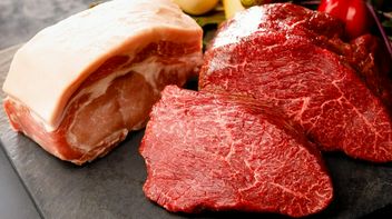 BELG AUBE 东京都剧场