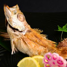 Uoman 淀屋桥 odona