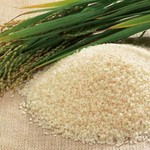 独特のやわらかさがあり、コシヒカリより大粒で飽きのこない甘みが特徴。
和食のシンプルな味付けによく合う、毎日食べられる安心のお米をぜひどうぞ。