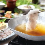 新鮮な造里を盛り込んだ松花堂弁当に、大豆の風味が豊かな美人豆腐をうおまん秘伝の豆乳鍋で。