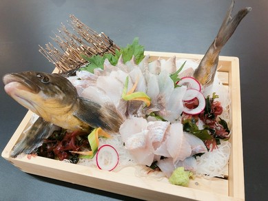 生け簀から獲れたてピチピチ。鮮度抜群のおいしさ『旬の活魚のお造り』