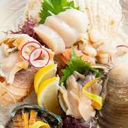 旬の魚介を提供し、目から楽しめるように盛り付け方にもこだわります。画像は、一例となる『貝の盛り合わせ』。生け簀から取り出したばかりで、コリっとした歯ごたえを満喫。お酒のアテにもぴったりです。