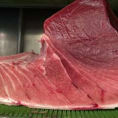 本日のお刺身盛り合わせ