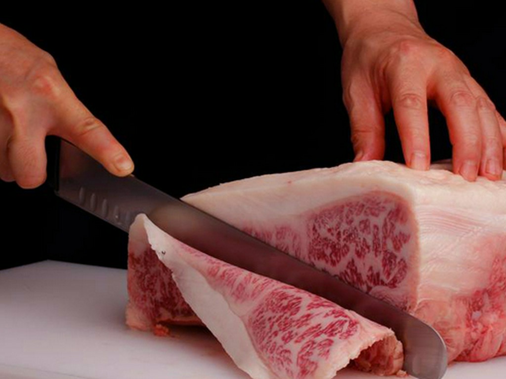 上質なＡ5和牛と彩り豊かな和の逸品をお愉しみください。