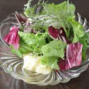 ◼無農薬/有機栽培のミックスサラダ1100円 小680円　◼無農薬パクチーと白菜のサラダ990円 ◼無農薬ルッコラとトマトのサラダ990円
★黒板にもおすすめサラダあります