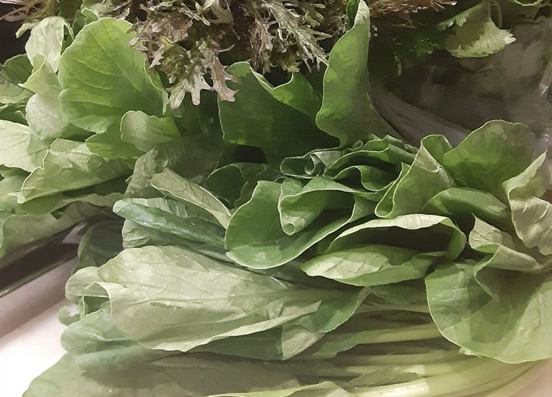 無農薬栽培菜園から季節の野菜が届きます！