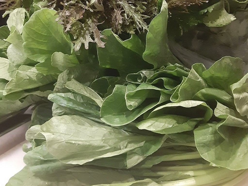 無農薬栽培菜園から季節の野菜が届きます！