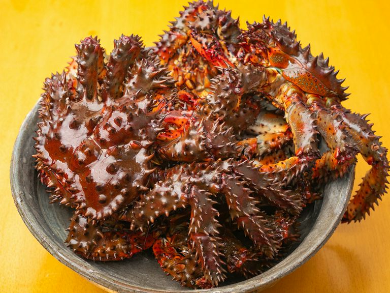 各地より選りすぐりの逸品を用意