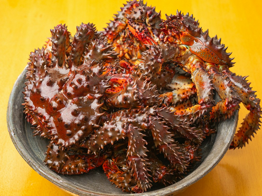 各地より選りすぐりの逸品を用意