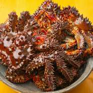 広島県内はもちろん、全国各地より今味わいたい逸品を用意。当日のメニューはお店にてご確認ください。