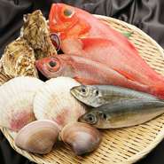 独立前から通い慣れた市場に足を運び、食材を目利きしているという曽我部さん。その日一番の魚介を仕入れられるのは、長年にわたり積み重ねた信頼関係があるからこそ。季節ごとに新鮮な海の幸を堪能できます。