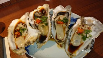 生カキ(日本各地から取り寄せております)