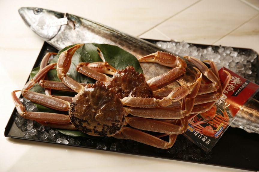 料理はまず、食材ありき。自らの足で全国を巡り、生産者を訪ねる