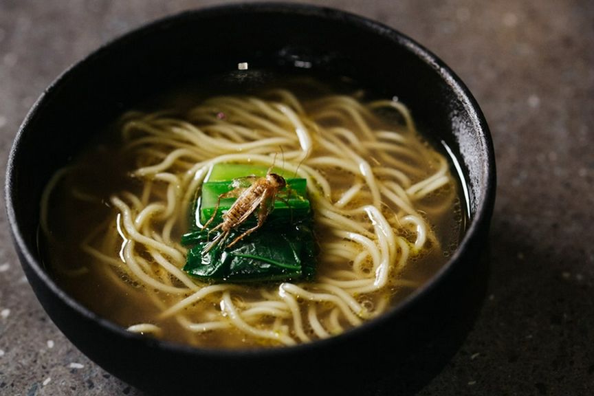 未体験の食の入り口、名作『コオロギラーメン』の風味にうなる