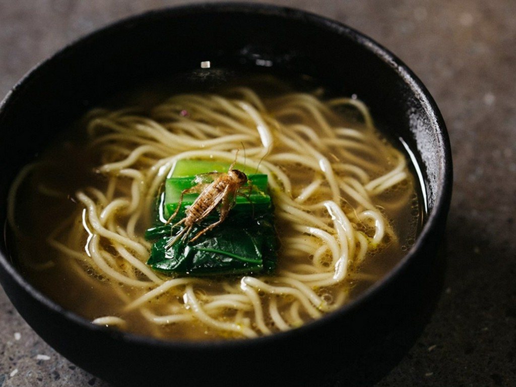 未体験の食の入り口、名作『コオロギラーメン』の風味にうなる