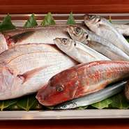 主に、山形県・庄内浜を中心に日本海側で獲れた魚を使用しています。そのほかにも、奥田シェフのネットワークで、日本全国の漁師さんから直送されるものも多数そろえています。				
