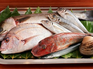 今までの生産者とのネットワークで直送される魚			
