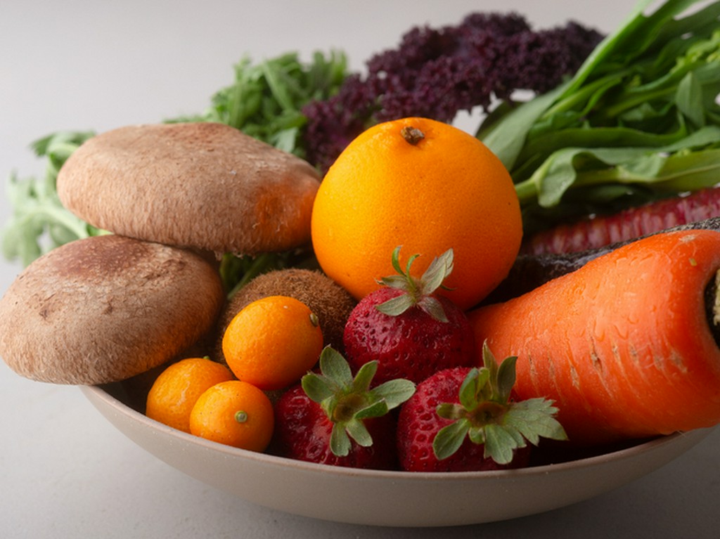 徳島と長野の逸品食材で織りなす洋の皿×日本酒ペアリングが評判