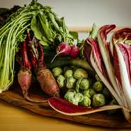 化学肥料や農薬を使わずに育てるオーガニックな野菜作りがモットーの兵庫県加東市のよつばfarm。少量多品目栽培で、ロッソトレビスやミニ白菜のようなリトルジムレタスなど珍しい野菜もいろいろ。