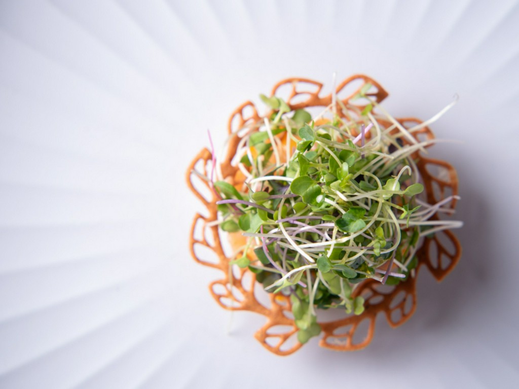 お任せランチコース10品