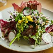 兵庫県加東市で、化学肥料や農薬を使わずに野菜を栽培する「よつばfarm」。育てている西洋野菜は少量多品目。レッドトレビスやミ二白菜のようなリトルジムレタスなど珍しい野菜をサラダなどに使っています。		