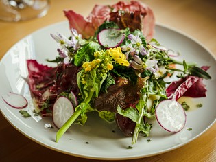 「よつばfarm」のオーガニックの野菜			