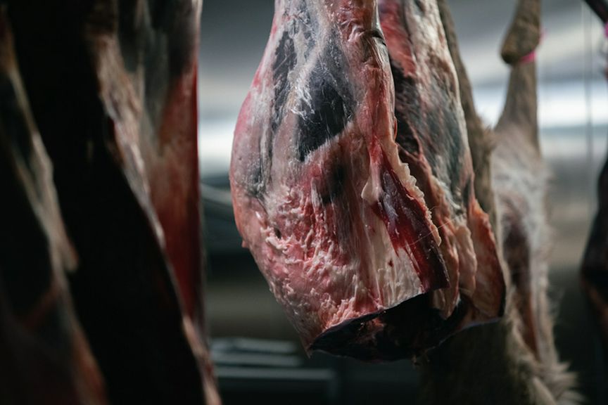 自ら捌き、加工するこだわりのジビエ